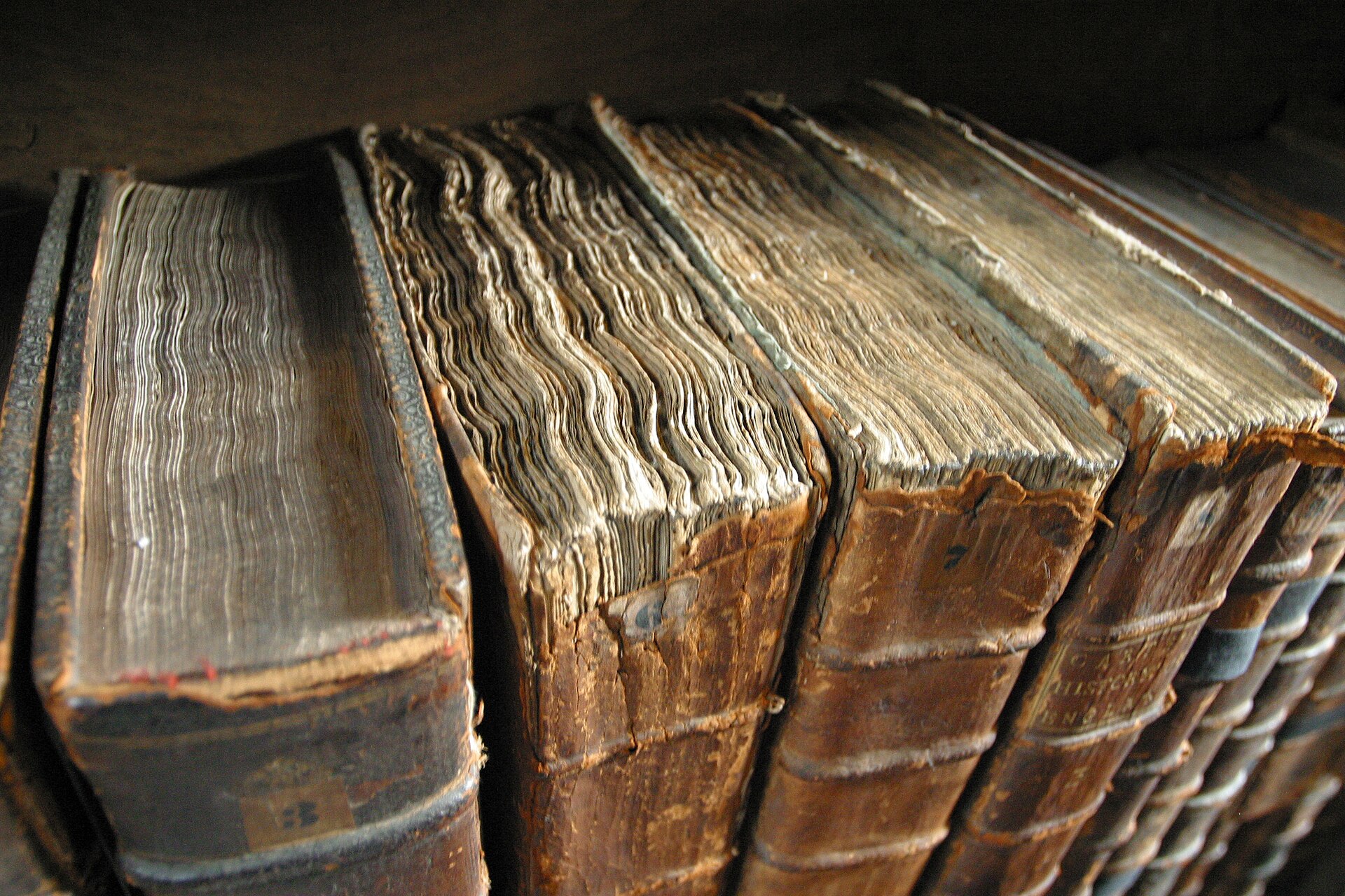 Schulbücher einbinden: Schritt-für-Schritt zum perfekten Buchschutz