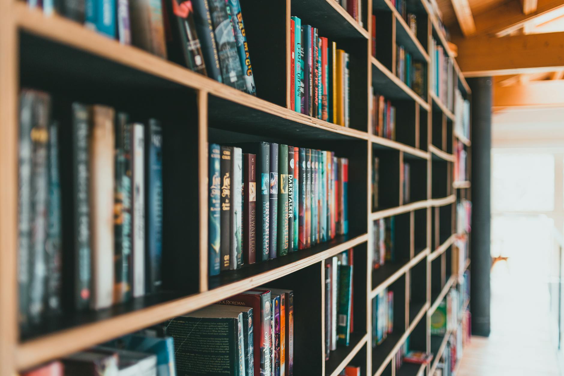 Medimops Bücher: Die besten Schnäppchen für Leseratten