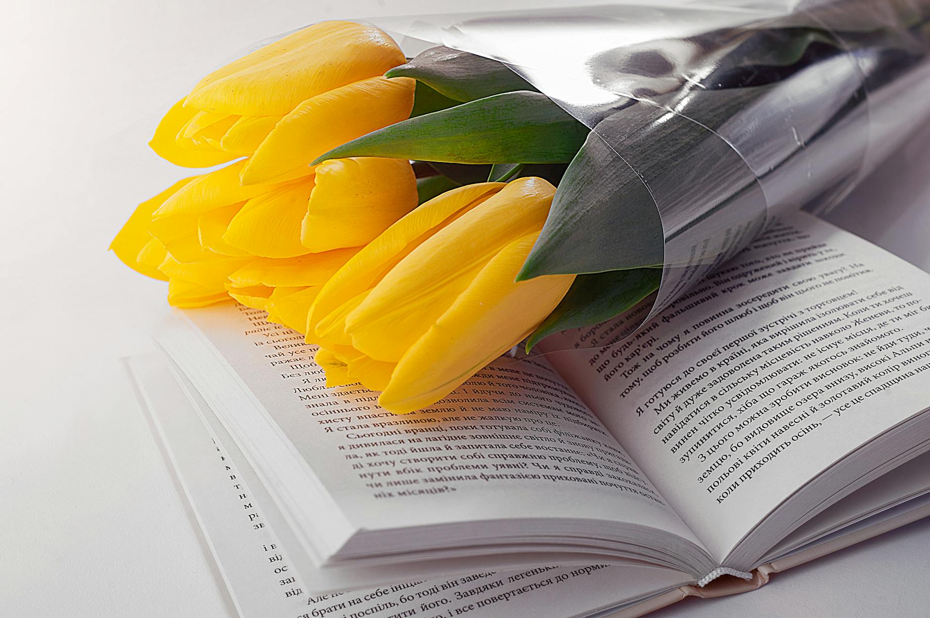Yellow tulips on a book symbolize romance and knowledge. Perfect for spring settings.