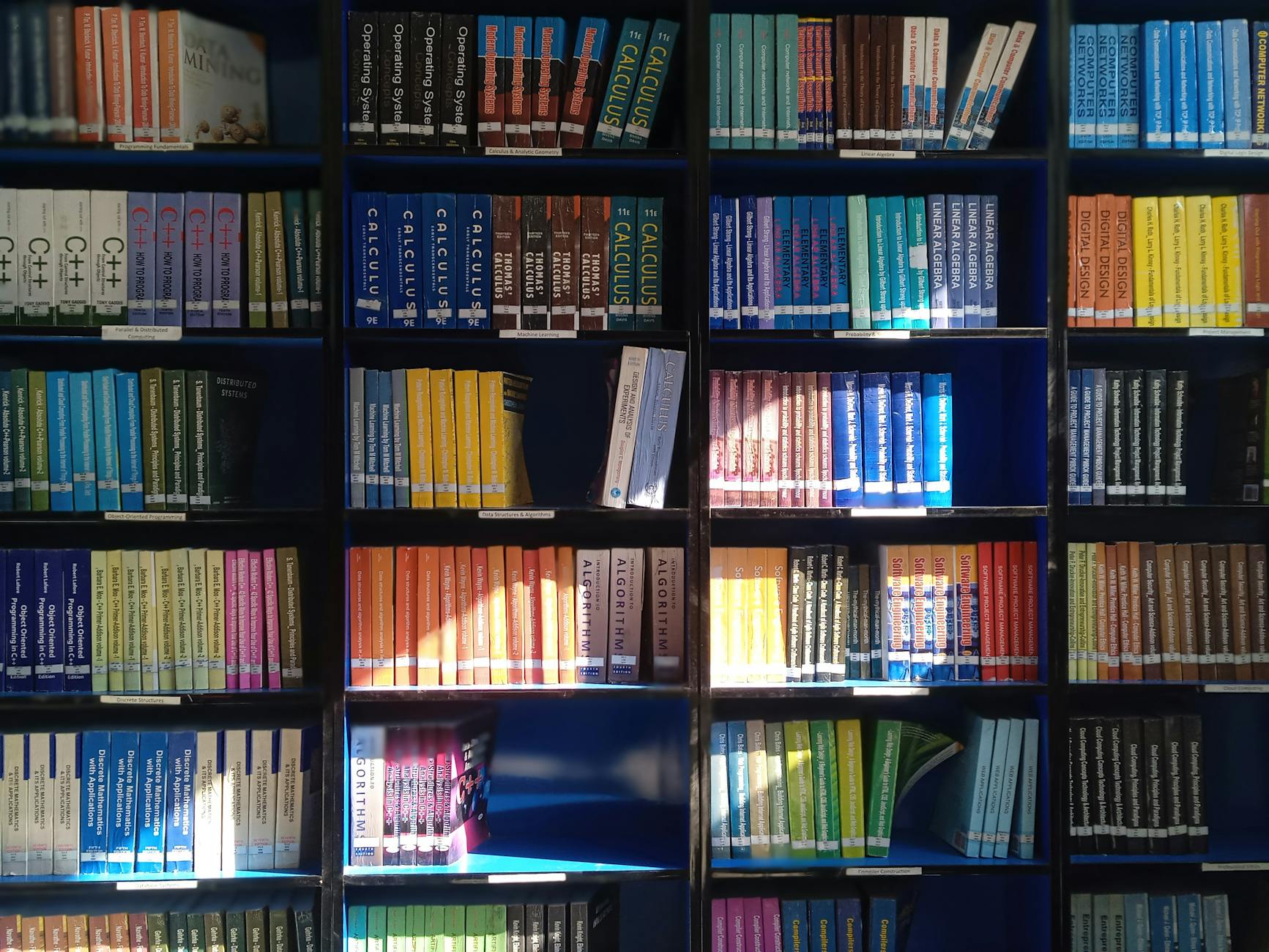A vibrant library bookshelf displaying a range of educational books organized by subject.